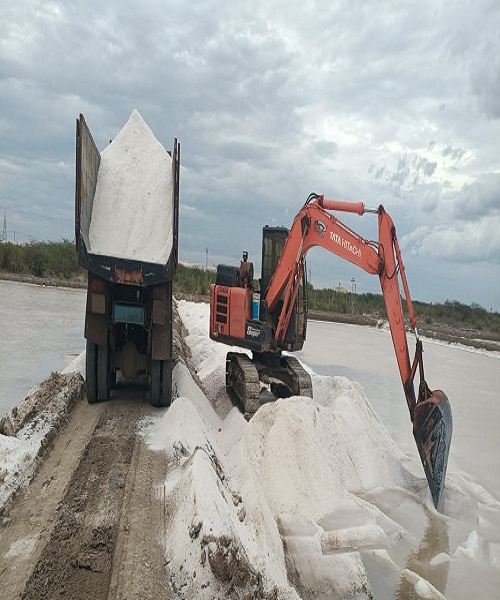 Salt