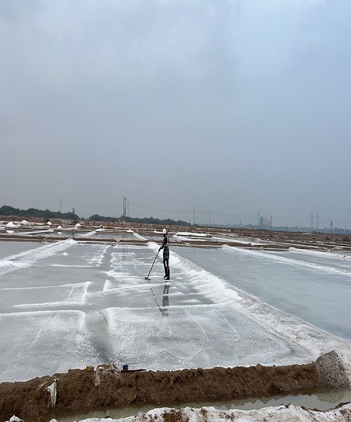Salt Production